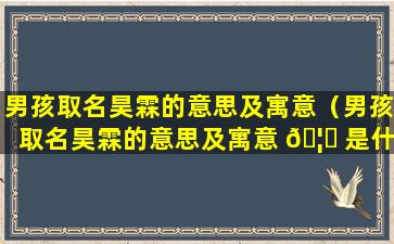 男孩取名昊霖的意思及寓意（男孩取名昊霖的意思及寓意 🦅 是什么）